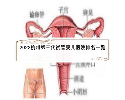 2022杭州第三代试管婴儿医院排名一览